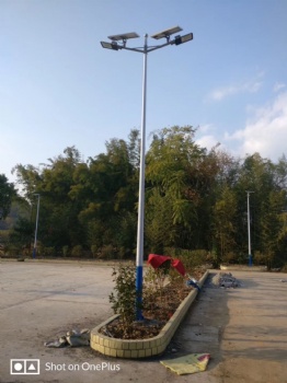 C16